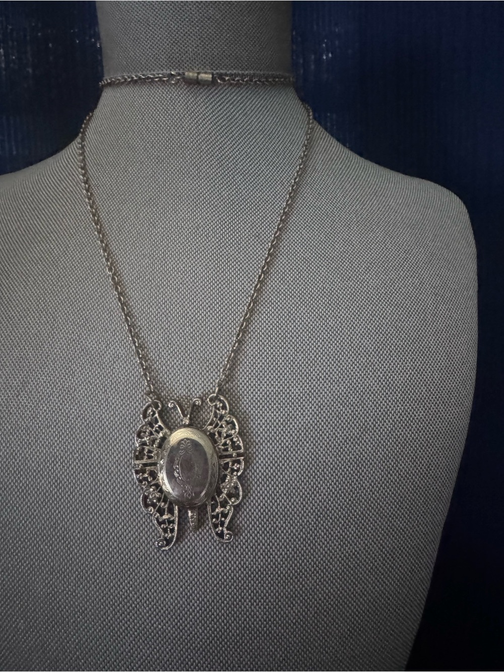 Silver Butterfly Locket Necklace - Classic Women's Jewelry